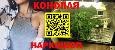 ешки Краснознаменск