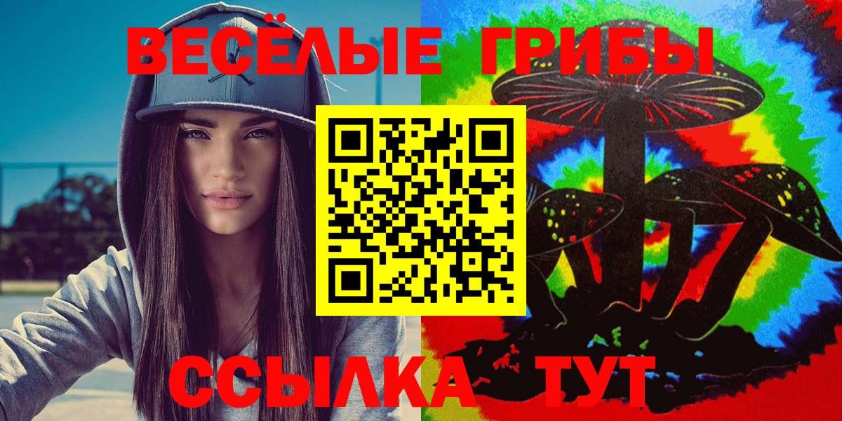 Галлюциногенные грибы Cubensis  Галлюциногенные грибы MAGIC MUSHROOMS  Вход с VPN  Котельники 